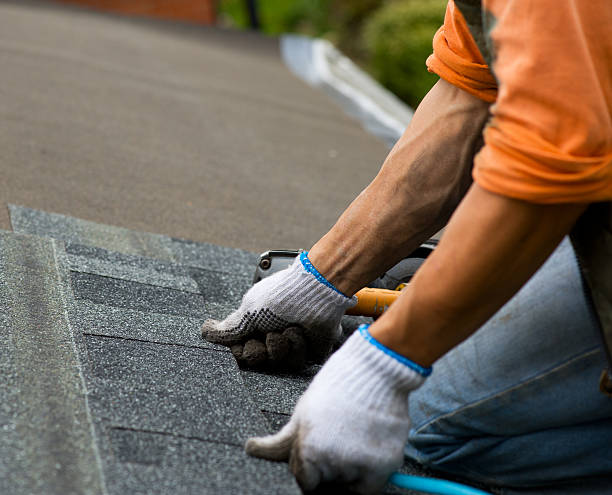 Best Shingle Roofing Installation  in Dover Base Housing, DE