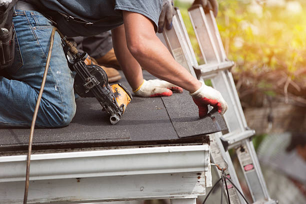 Best Roof Gutter Cleaning  in Dover Base Housing, DE